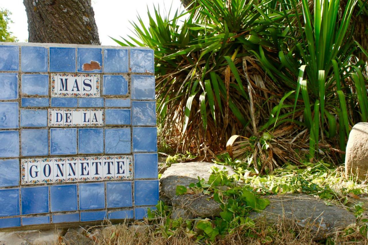 ヴナスク Mas De La Gonnetteヴィラ エクステリア 写真